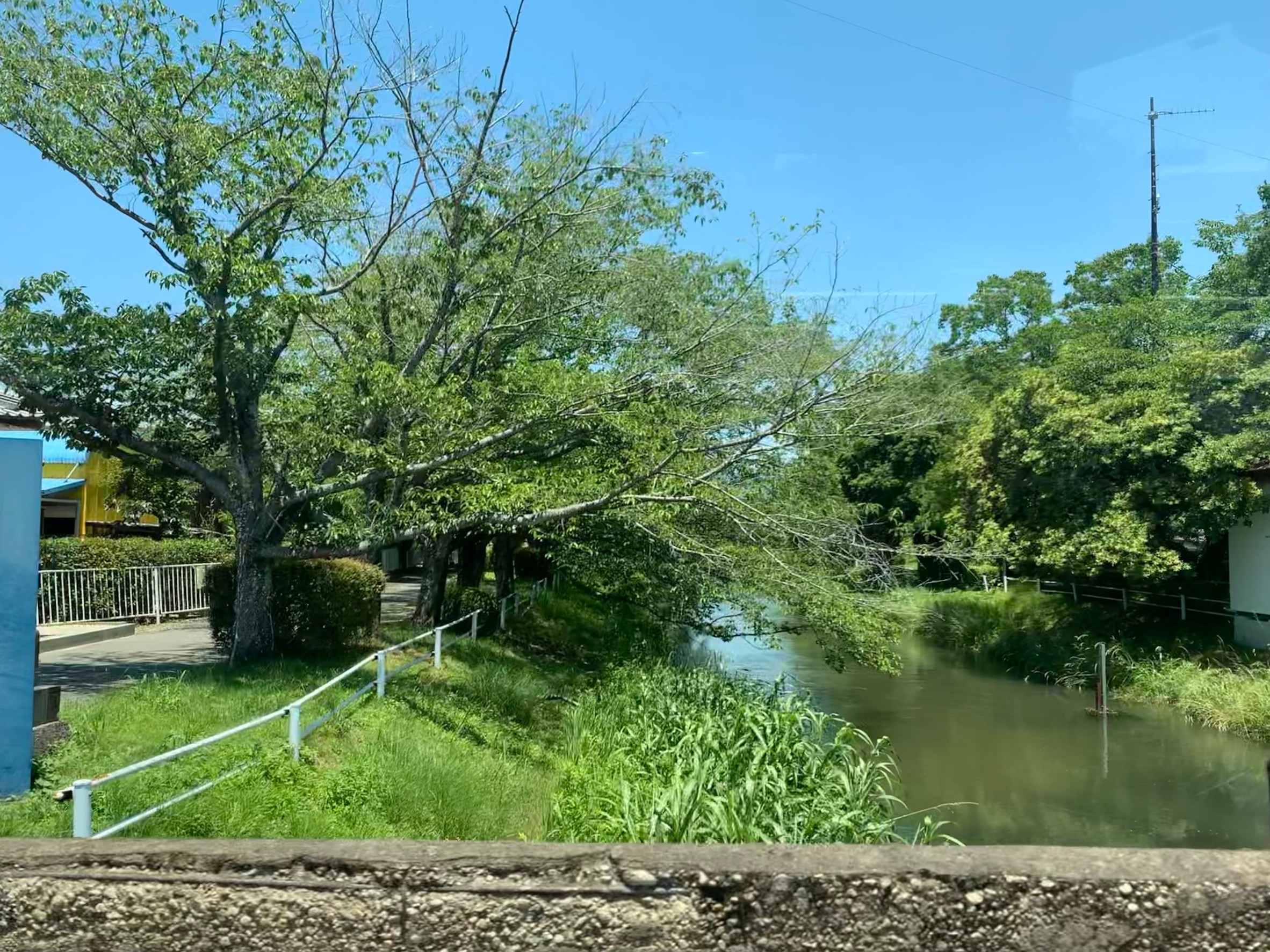 多布施川沿い遊歩道