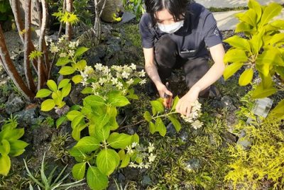 植栽　剪定　プランナー