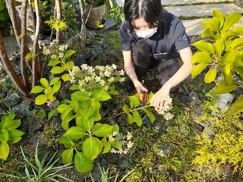 植栽　剪定　プランナー